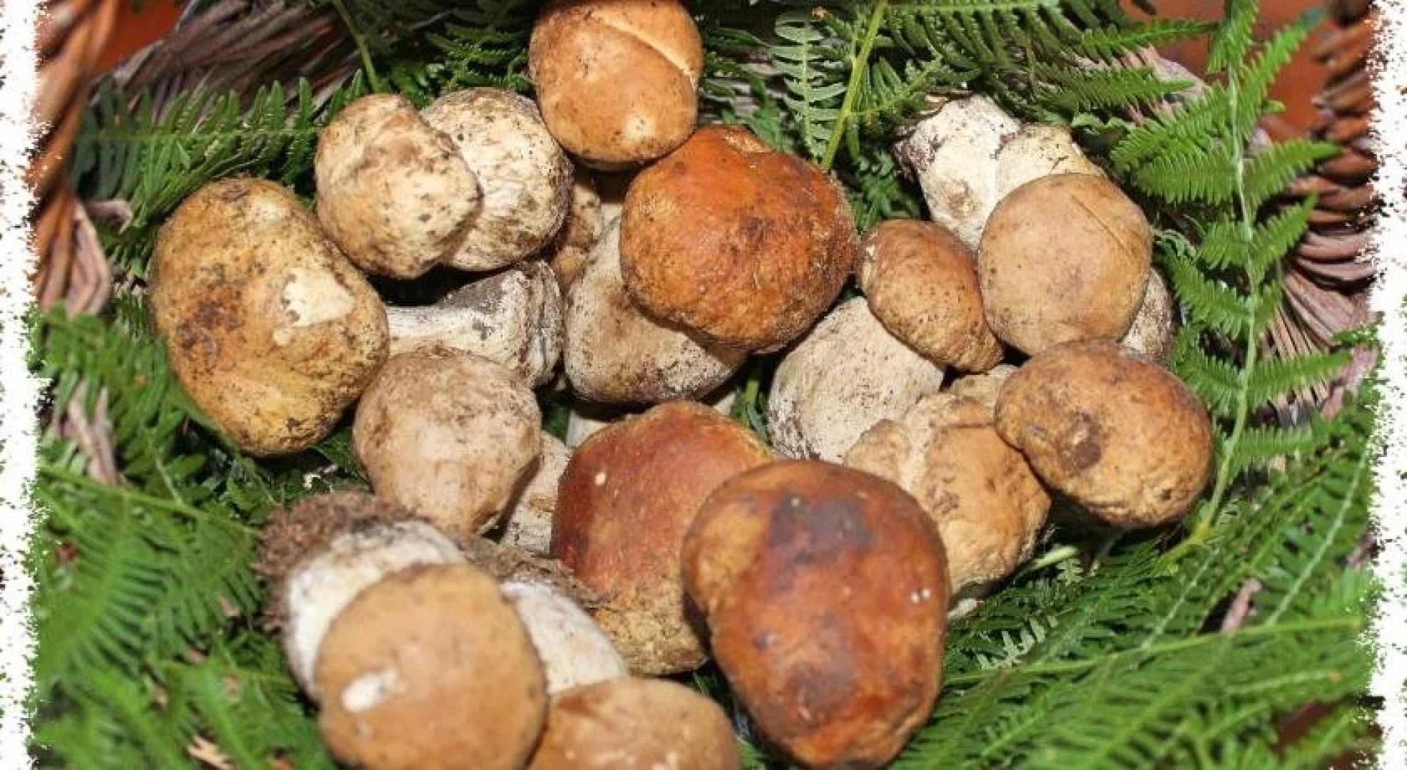 Residence La Montanara