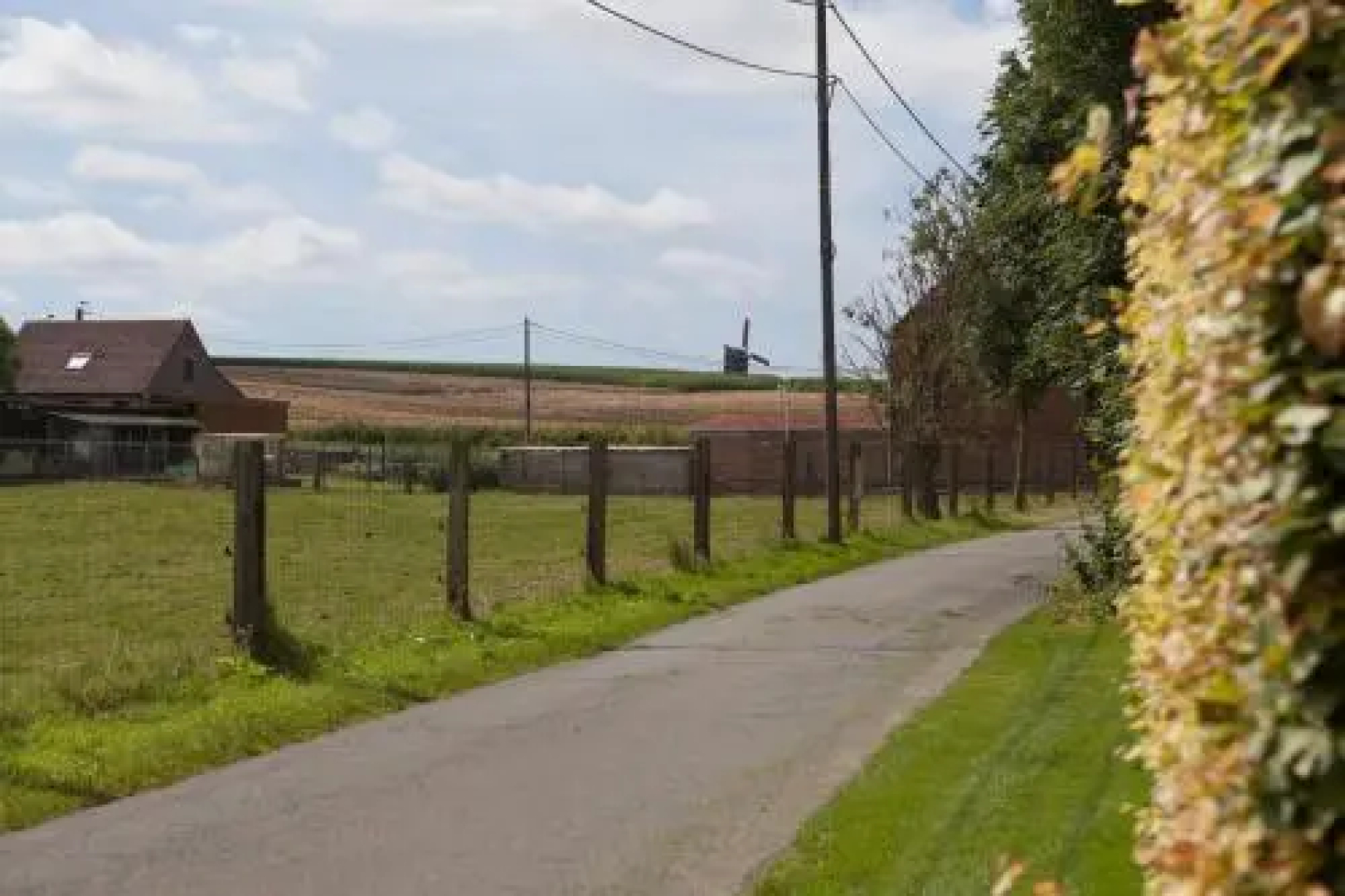 Cleensyde
