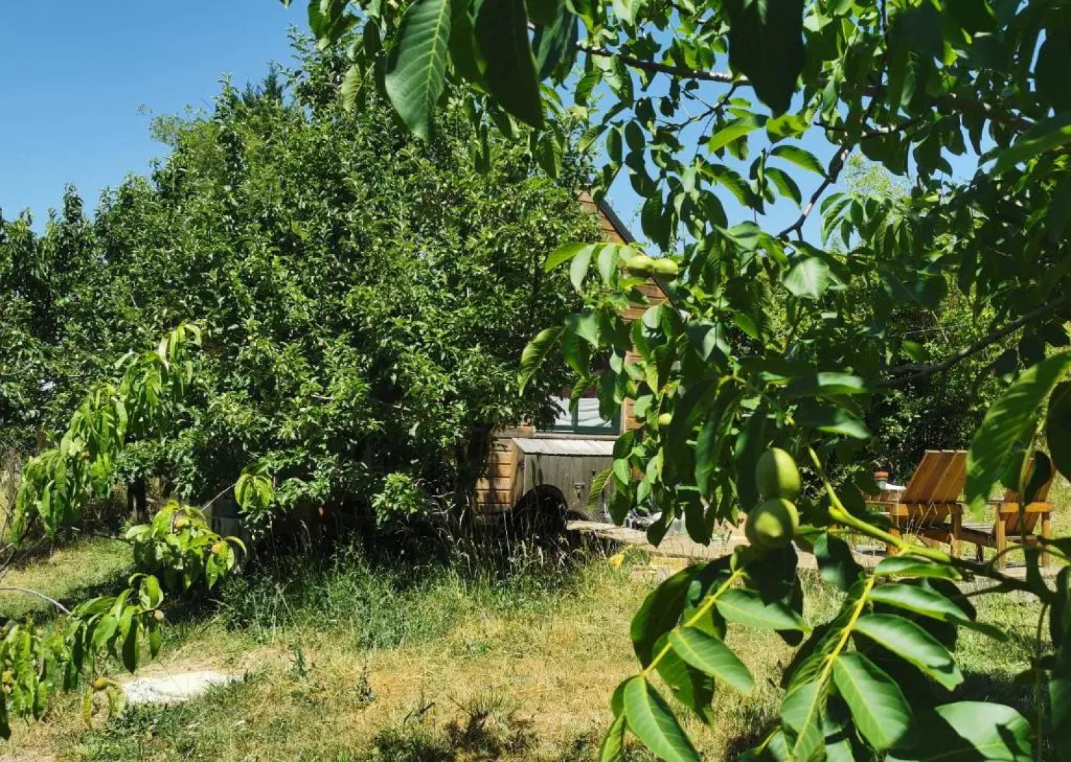 Ti'belle, ma tiny house adorée