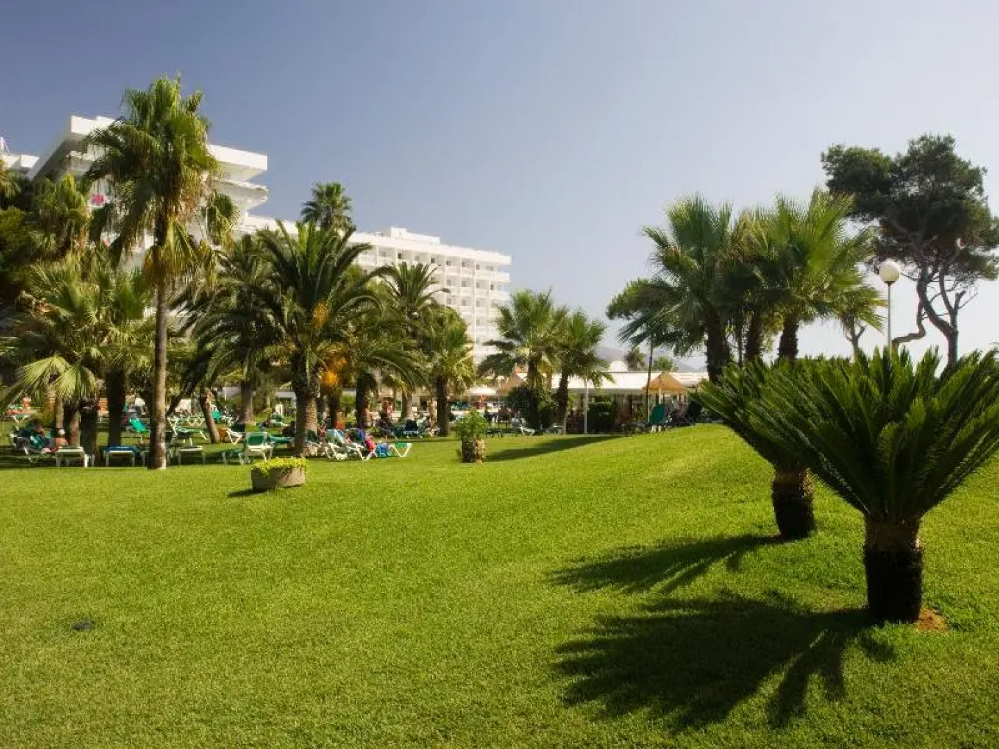 Playa Esperanza Suites