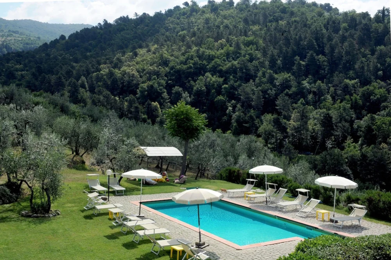 Organic Farmholiday In The Middle Of Olive Grove 1