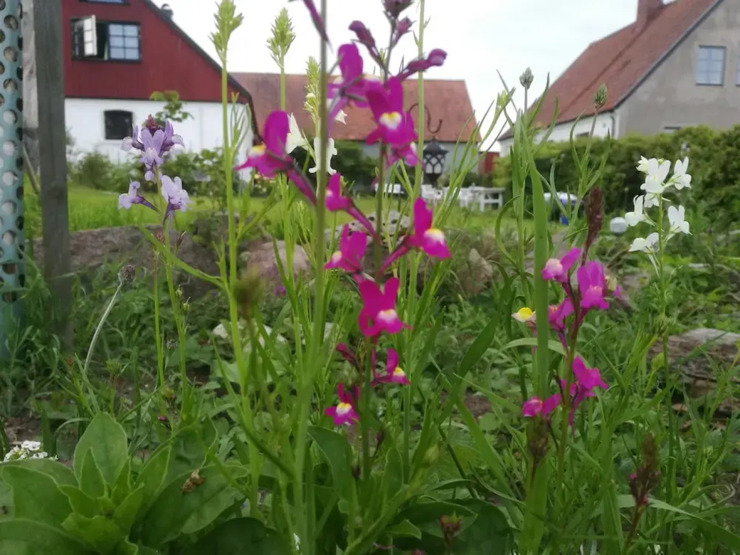 Gården mellan Slotten