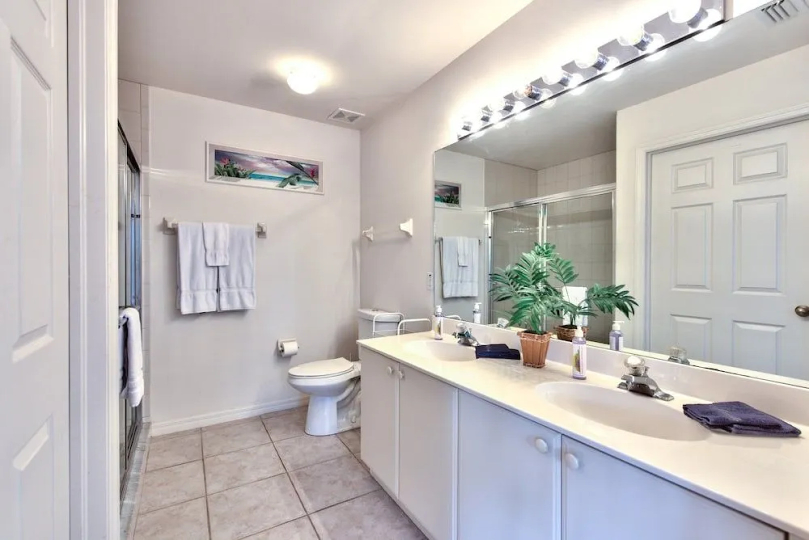 Viareggio Vacation Rental