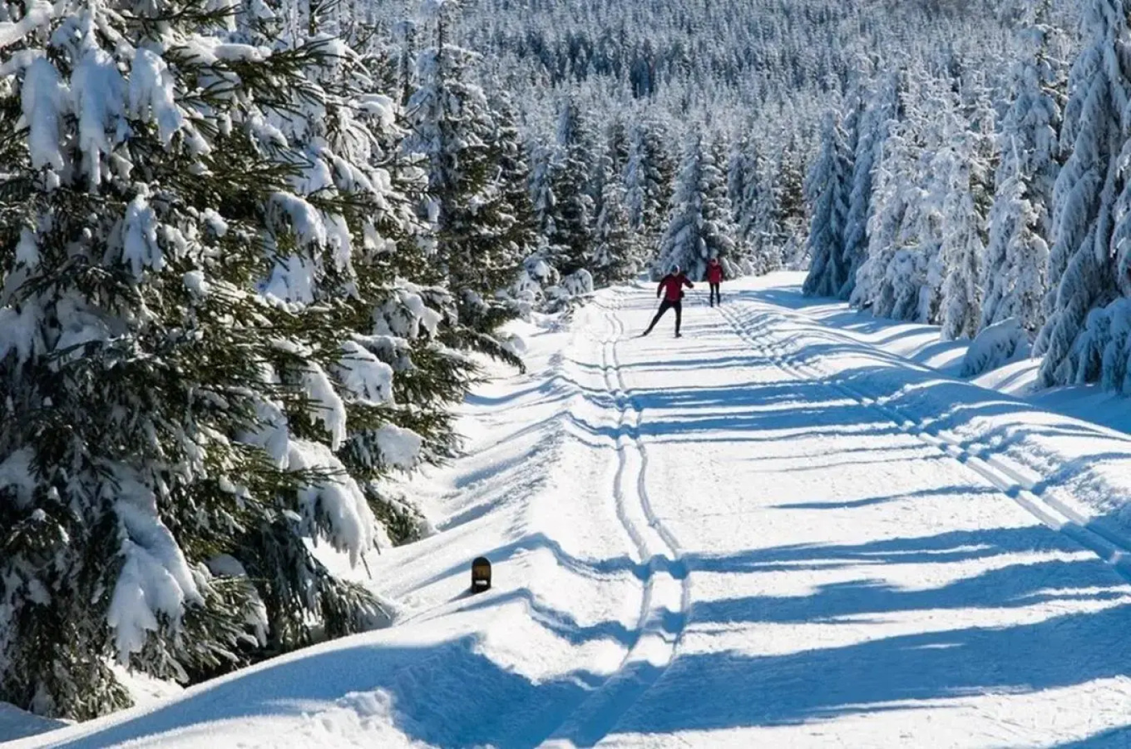 Slunný byt 2 a kk v Jizerkách