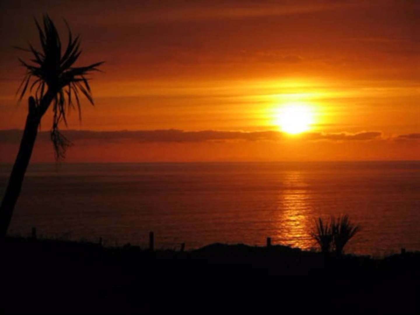 Elements Hotel & Restaurant