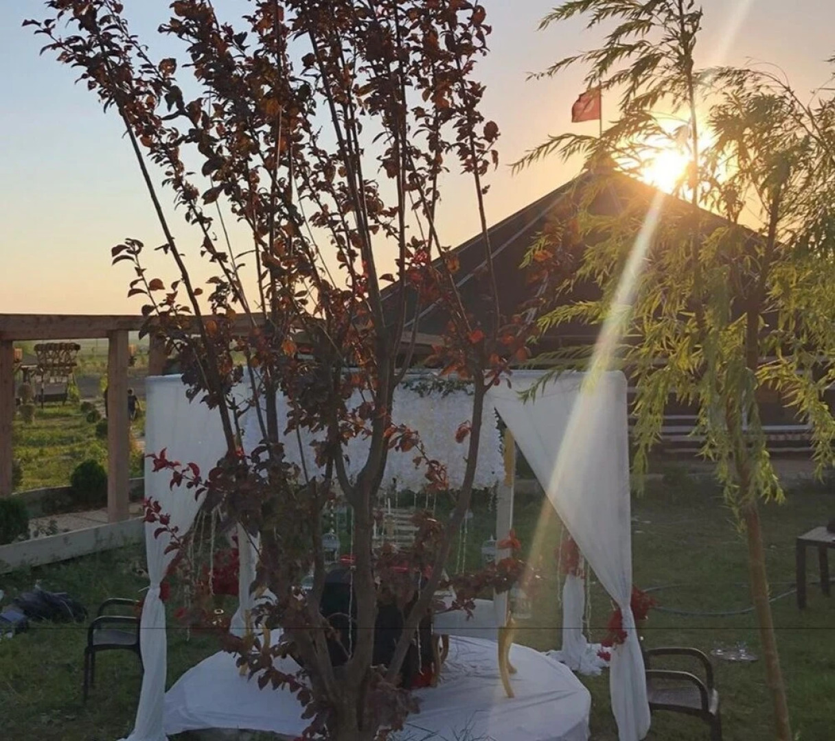 Göbeklitepe Bahce Saray