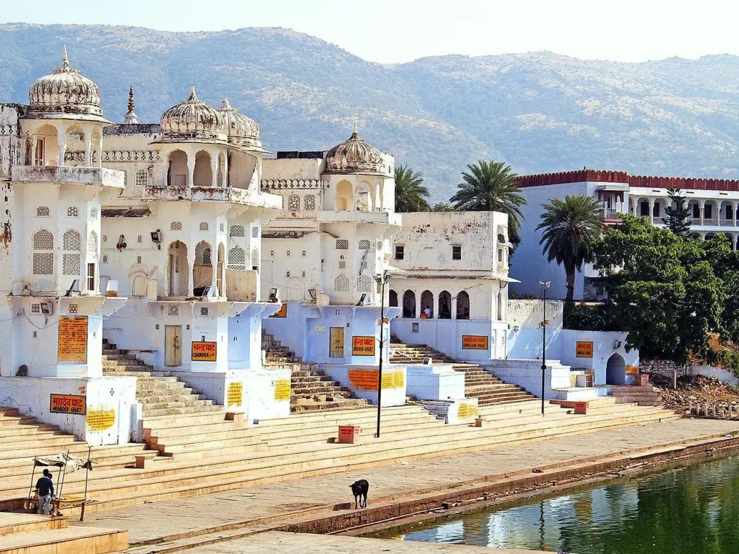 Anandam Palace Pushkar