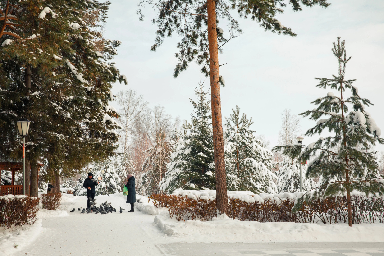 Jangan-Tau (turkompleks)