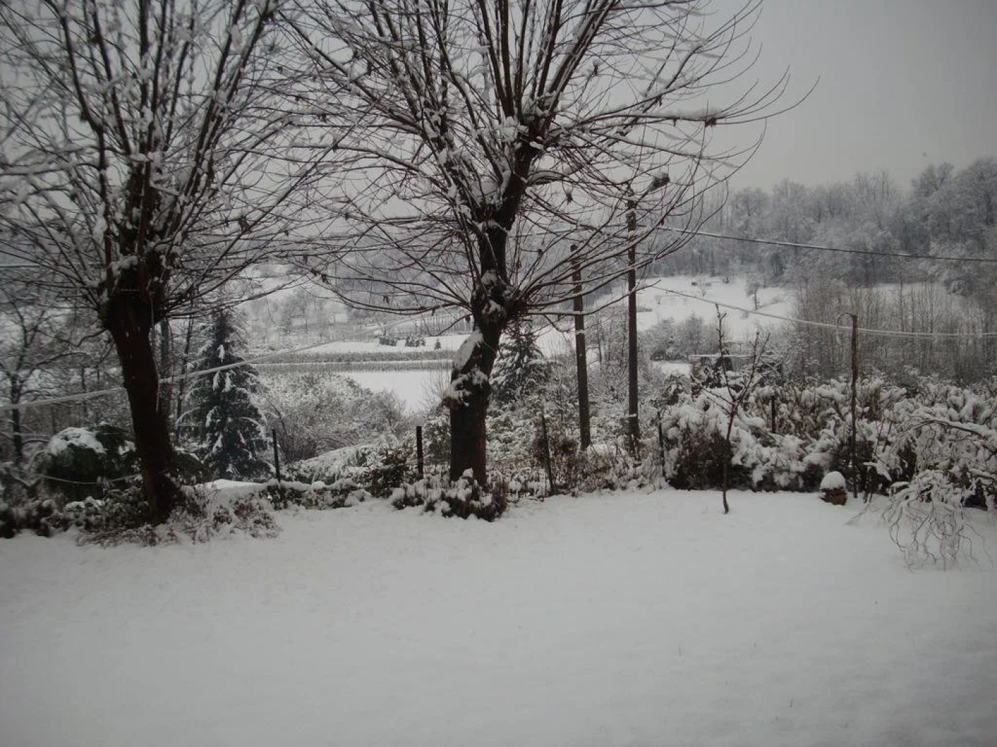 La Casetta Verde B&B