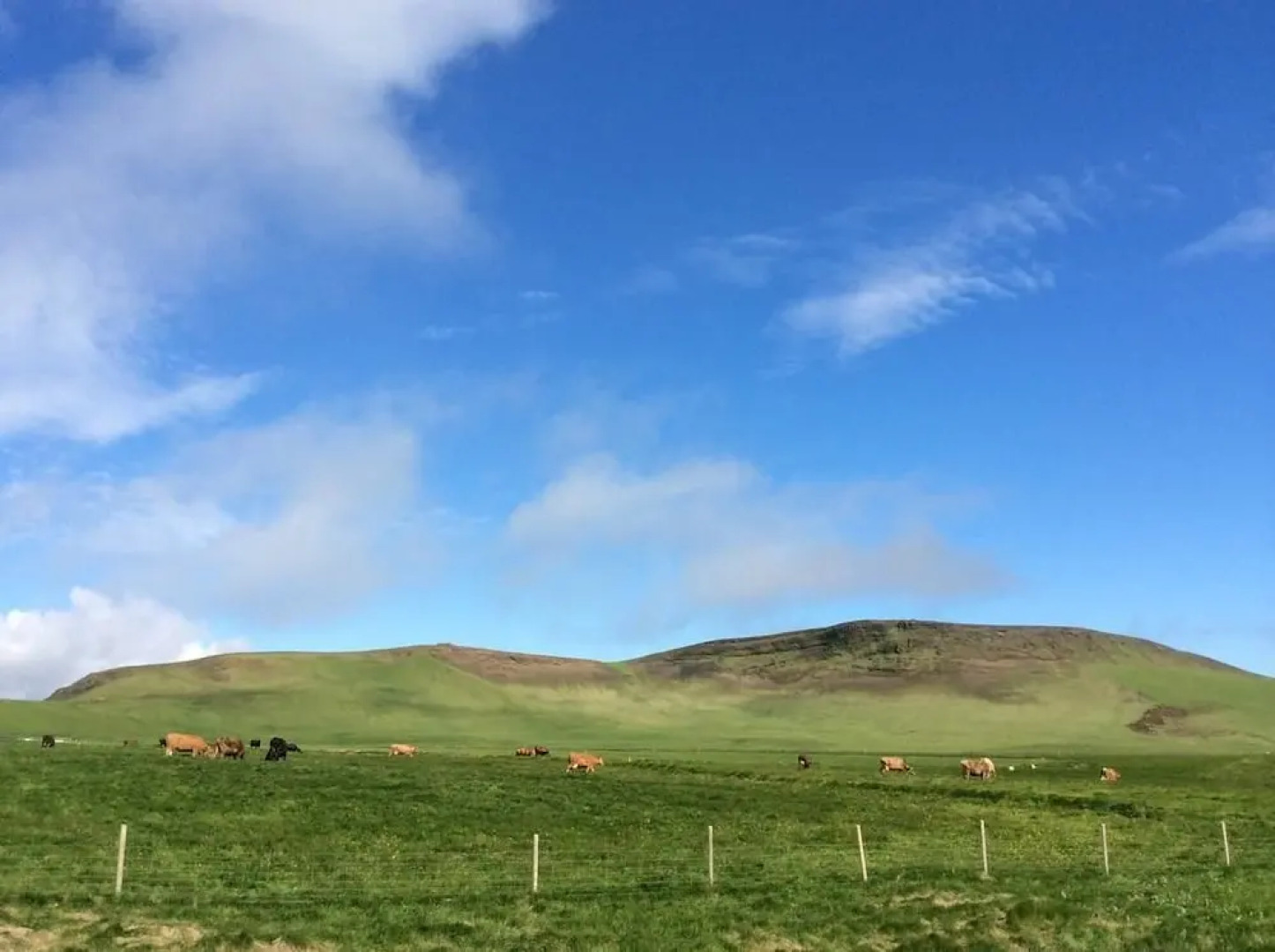 Hvammból Apartments