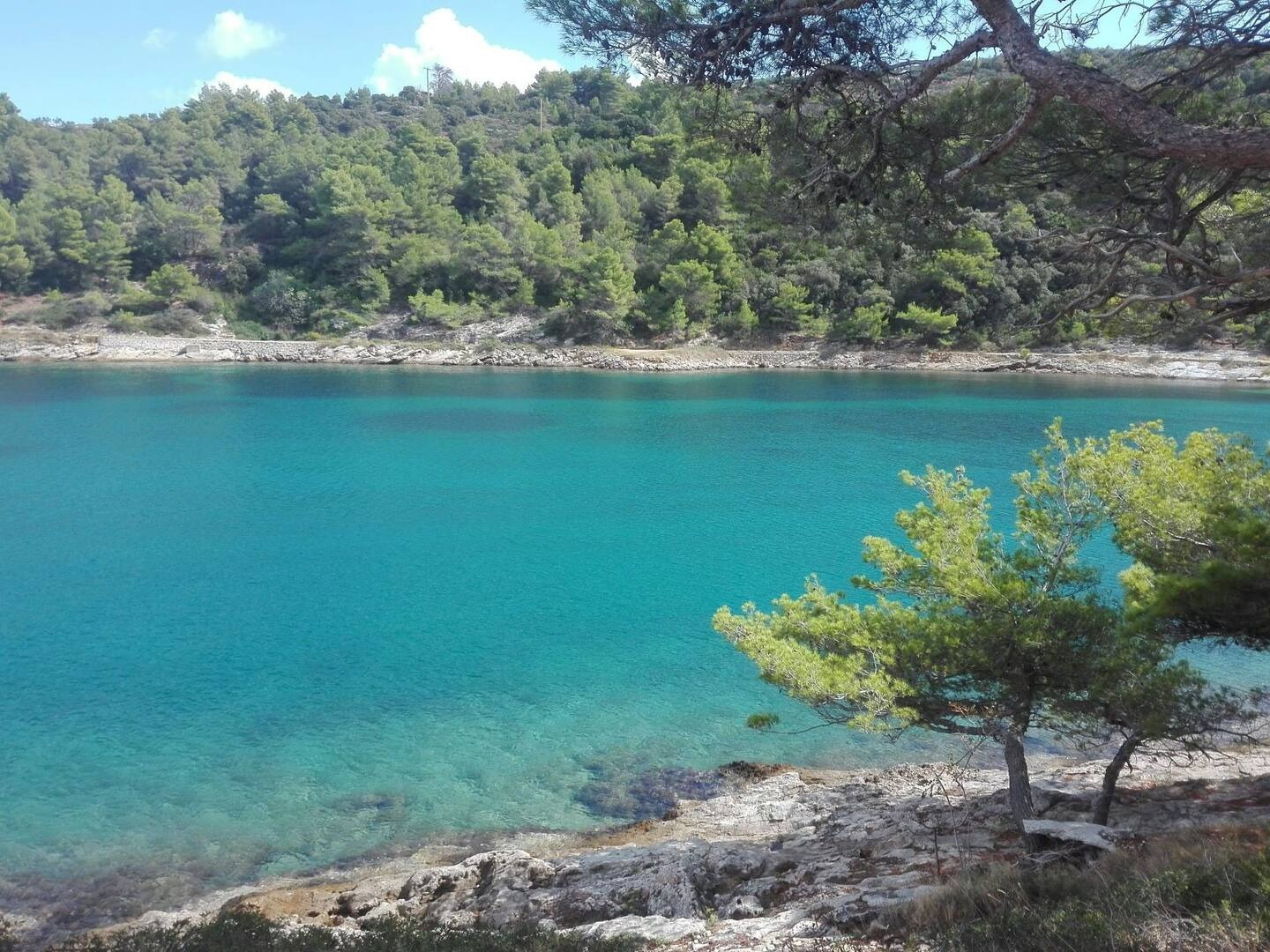 Apartment Soni - with barbecue; A1 Postira, Island Brac