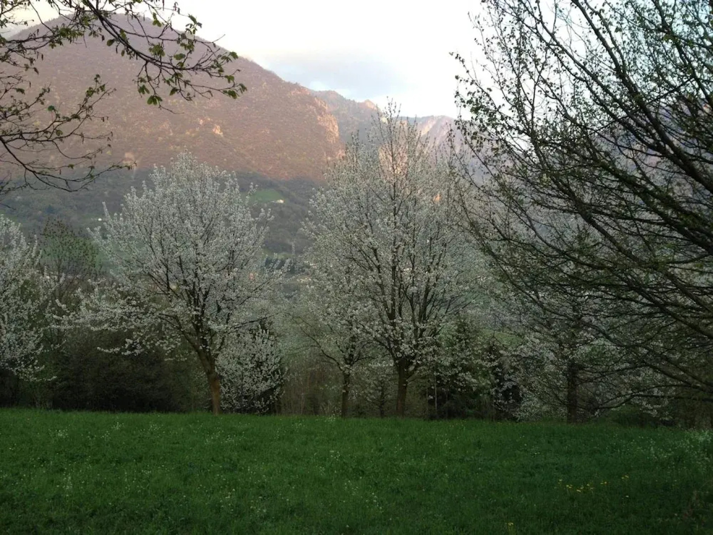 B&B Padò - Immersi nella natura