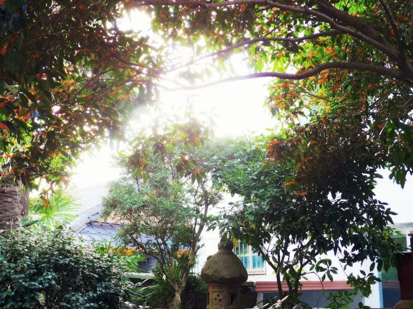 Gallery Family Hotel