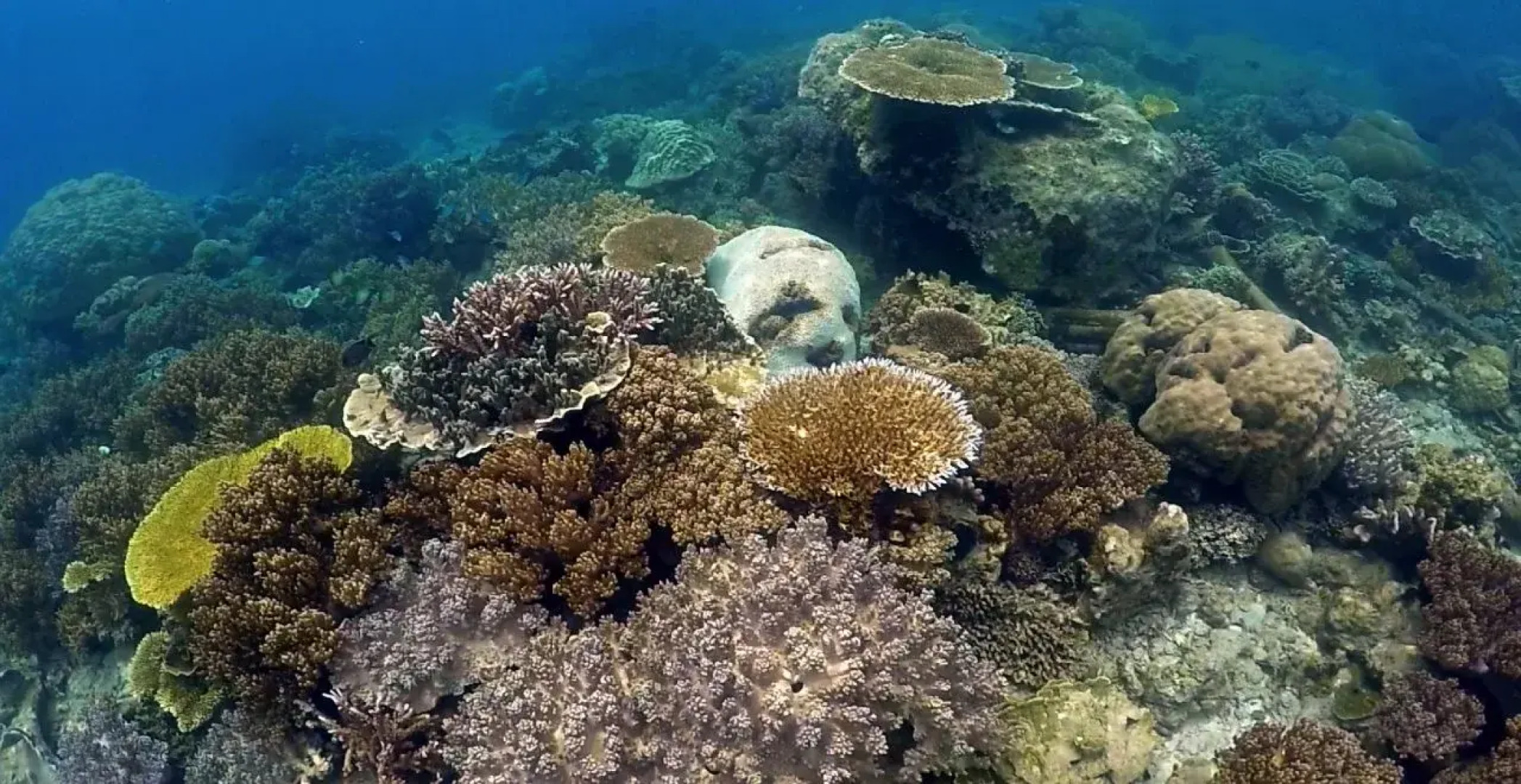 Doberai Private Island