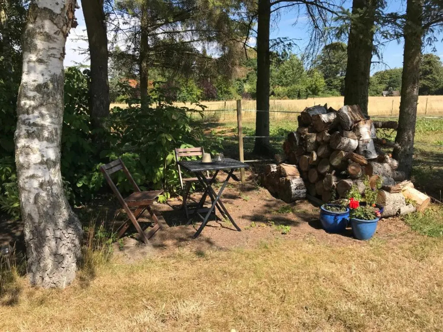 SIMPLE LIVING - Beds 190 cm - Dogs welcome on request - CARAVAN - COSY FARM BnB