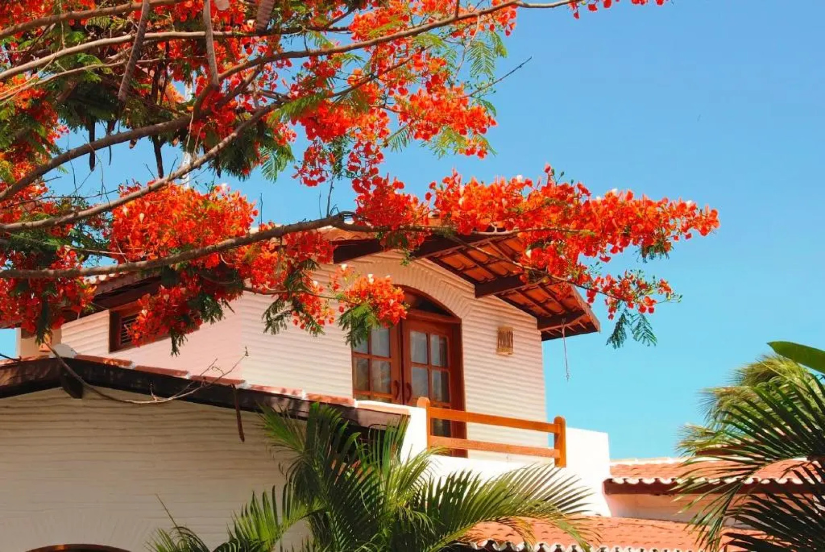 Paracuru Kite Village