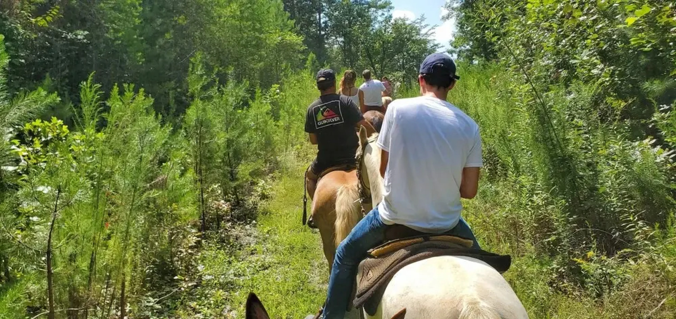 Oasis Cabin at Blairsville 2 Bedrooms 2 Bathrooms Cabin