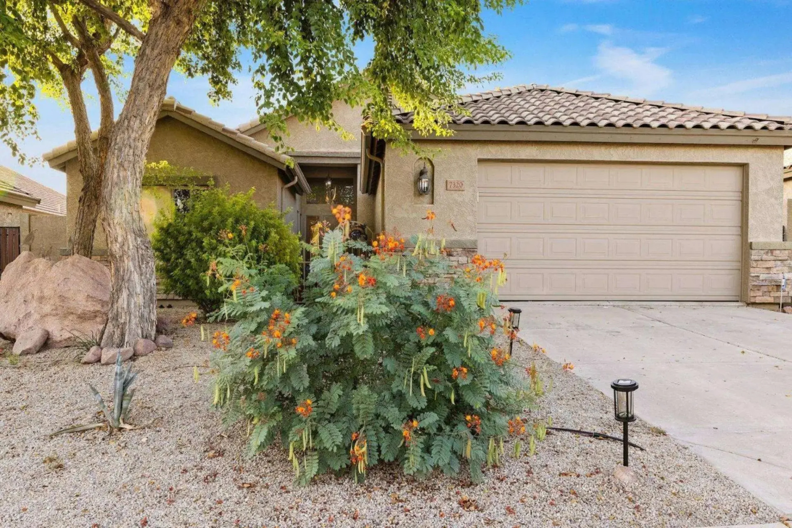Honeysuckle Oasis