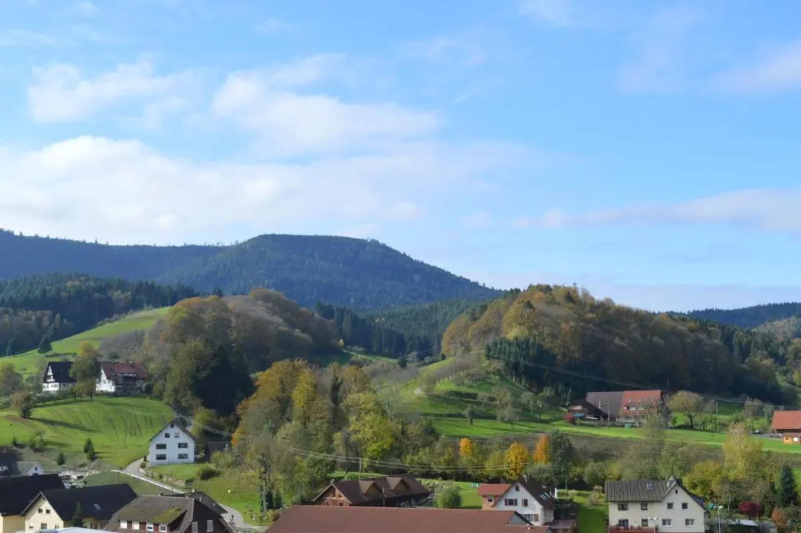 Ferienwohnung im Herzen des Renchtals