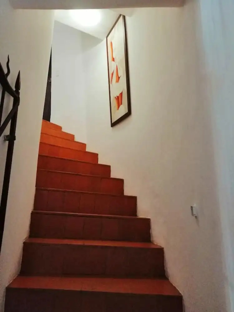 House With 3 Bedrooms in Anadia, With Wonderful Mountain View, Enclosed Garden and Wifi