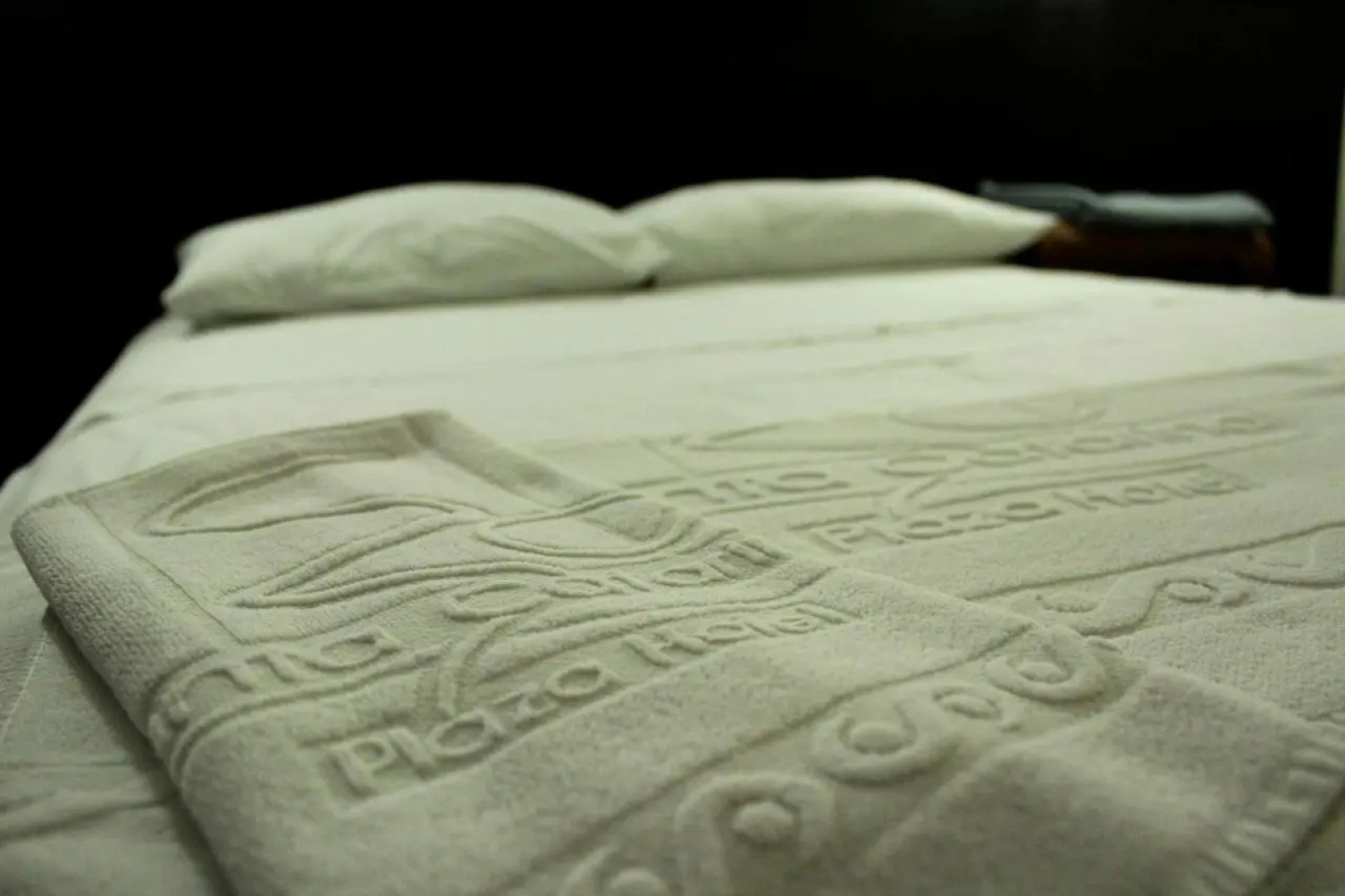 Santa Catarina Plaza Hotel