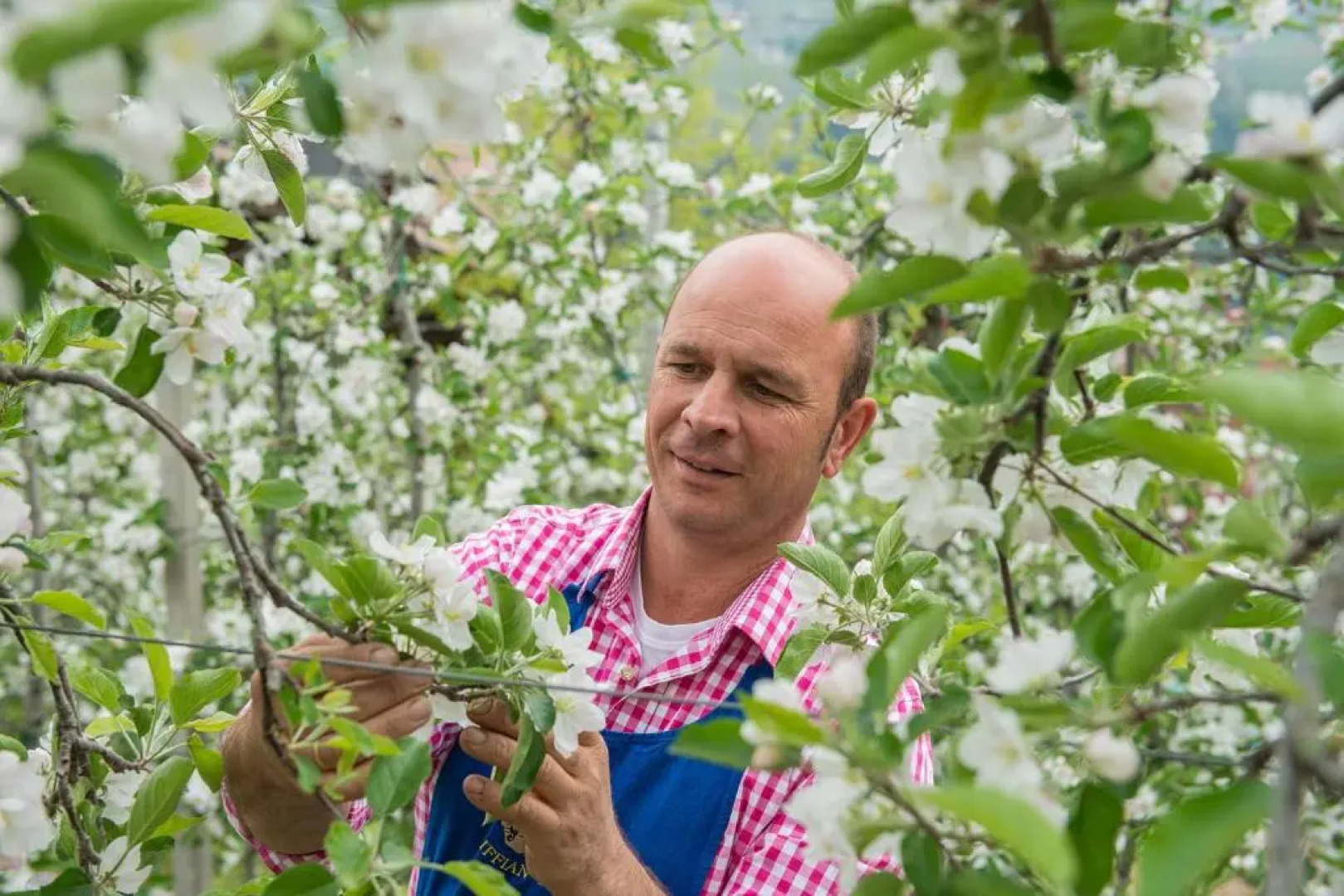 Landhaus Freiburgerhof