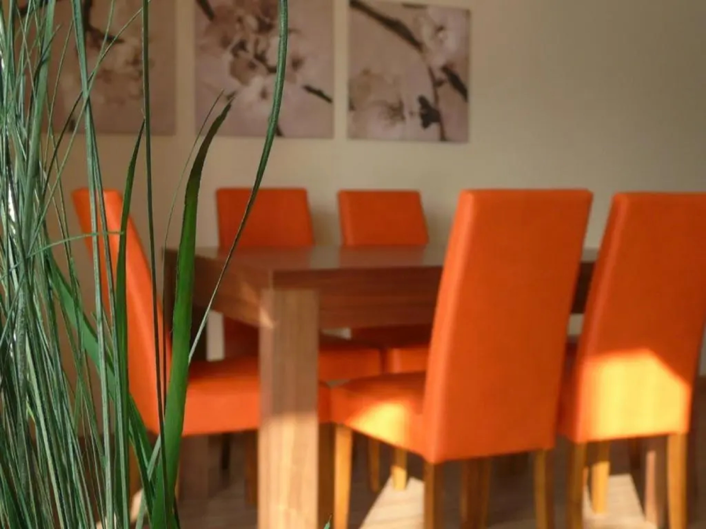 Apartamenty Wiślany Brzeg