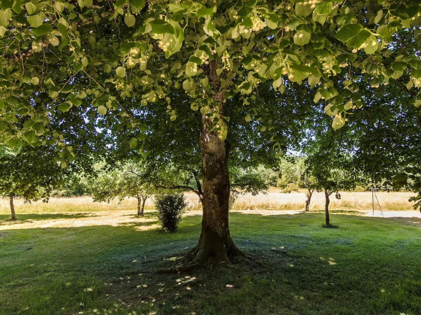 Armhouse With Artistic Interiors and Pvt. Pool in STE Alvère