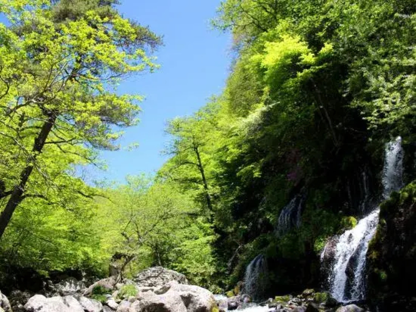 Yatsugatake Grace Hotel