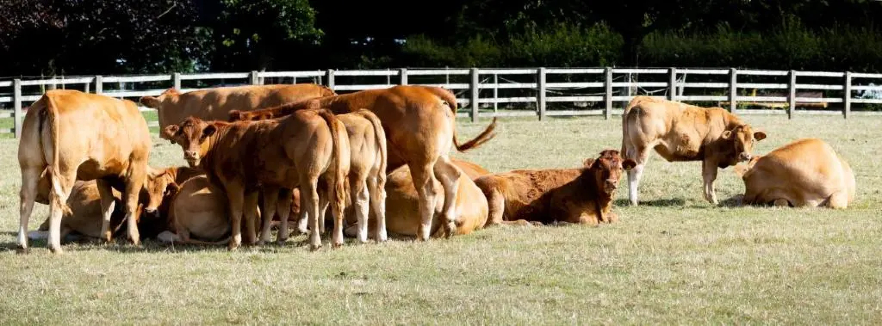 The Chaff House - farm stay apartment set within 135 acres