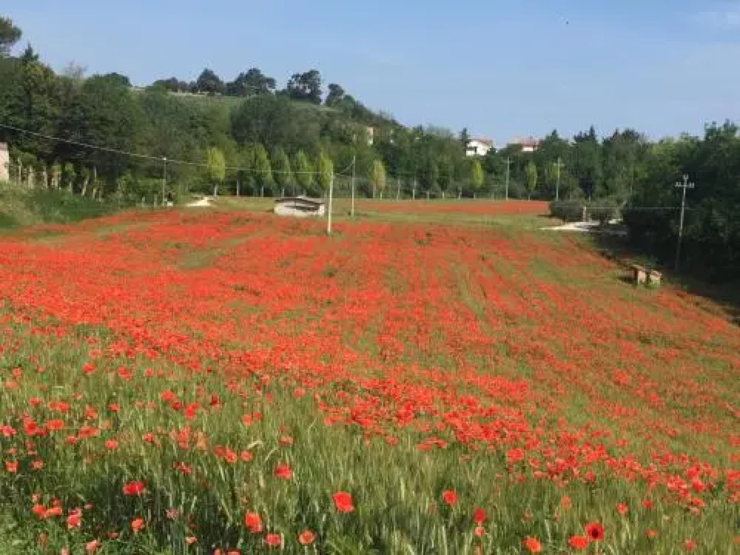 Bed and Breakfast Verdazzurro