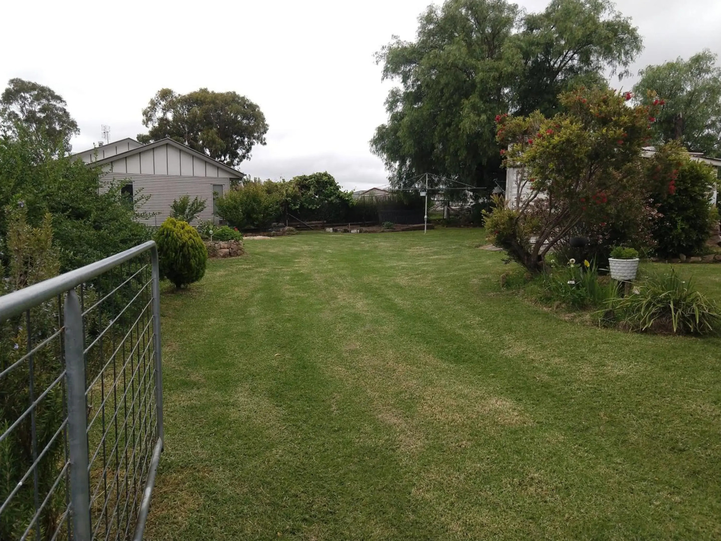 Amiens Cottage. Queenslander, charming, central.