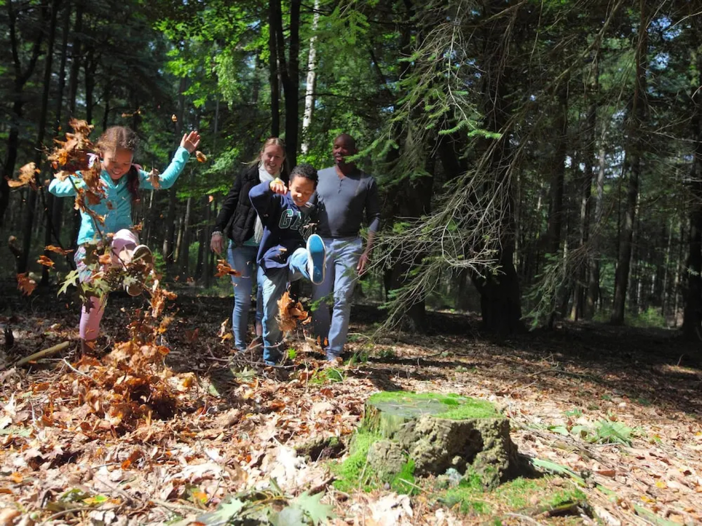 Modern Villa Located in the Achterhoek