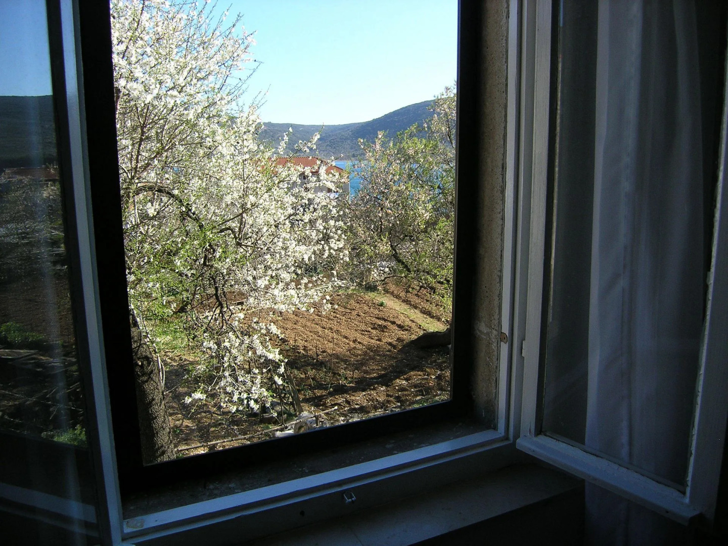 Studio apartment Mici 2 - great loaction and relaxing: SA2  Cres, Island Cres