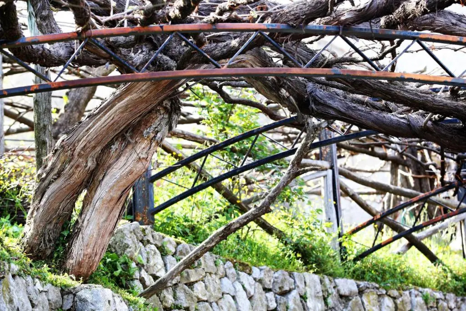 Agriturismo Il Raduno