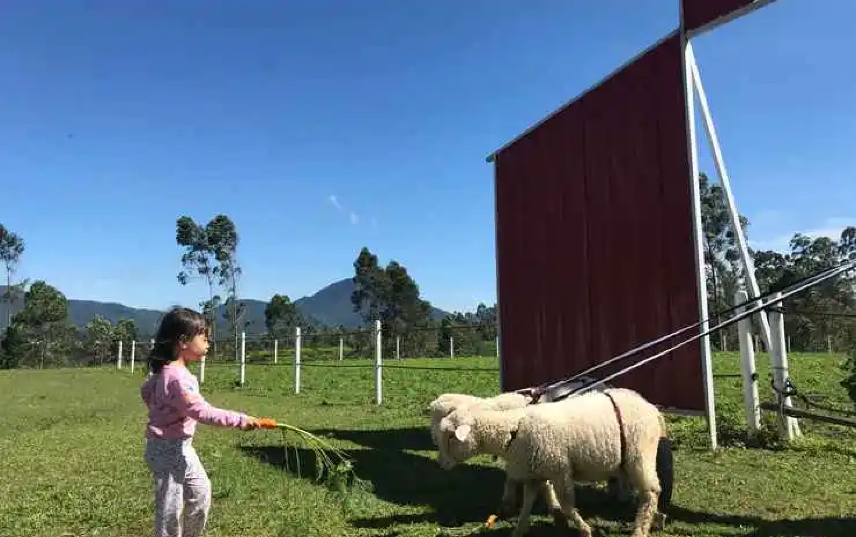 Shinta Corner Ranch and Resort