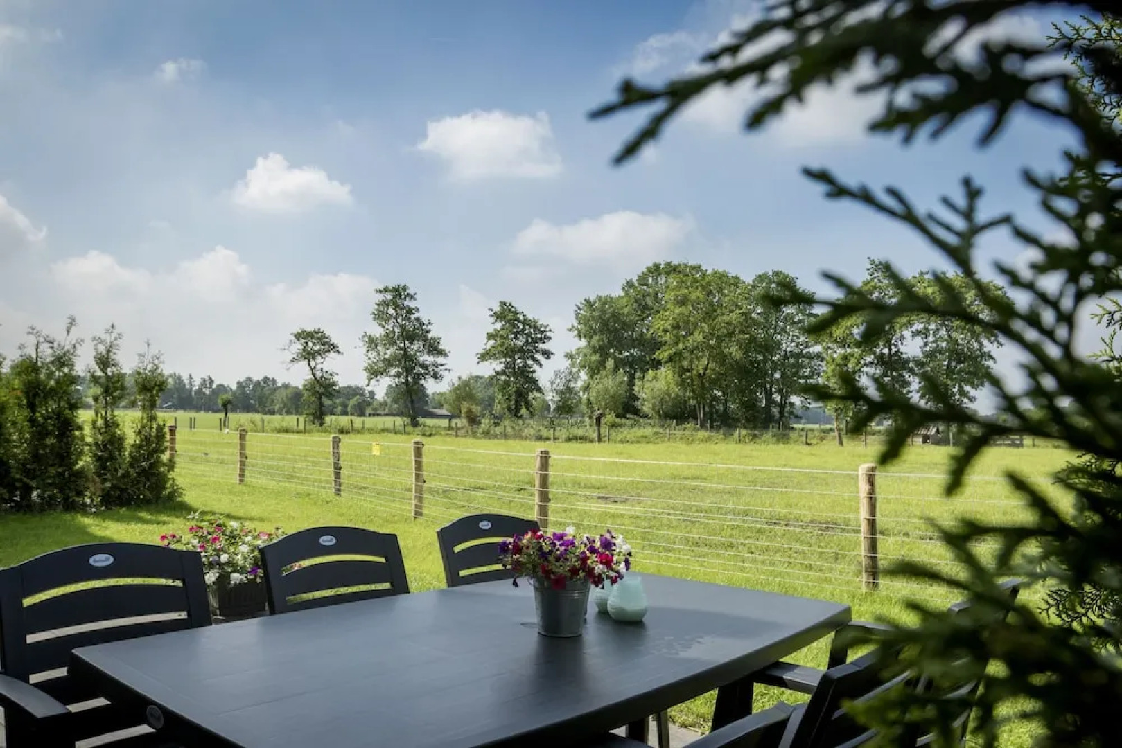 Camping Nieuw Romalo