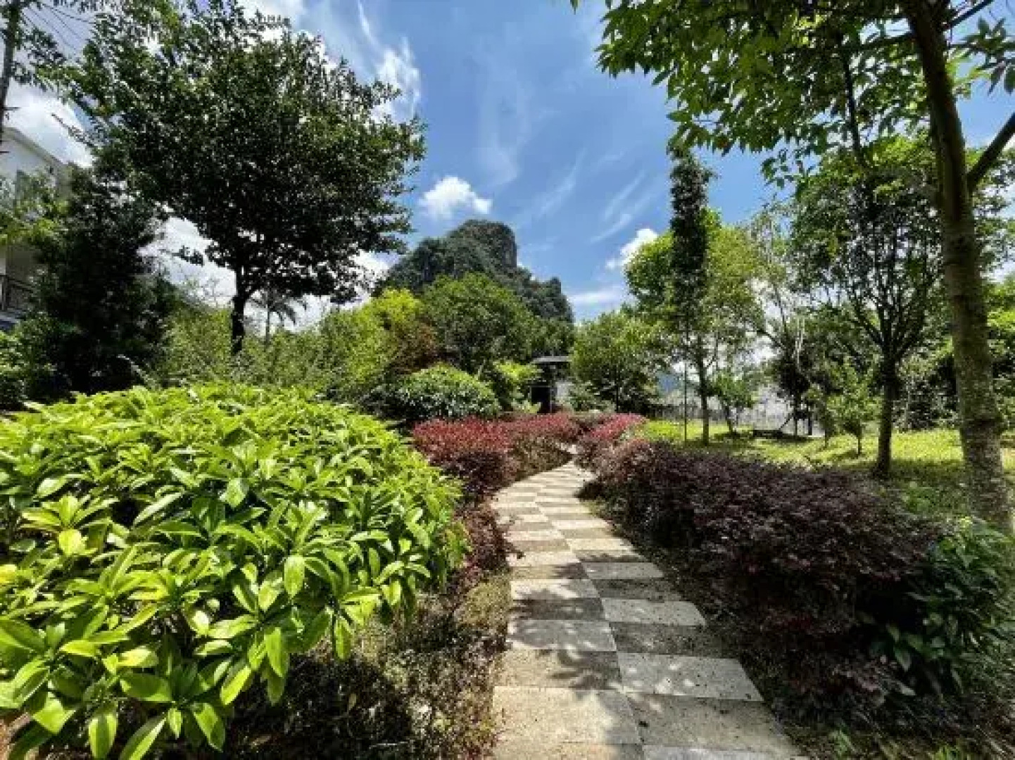 Yingxi Peak Forest Corridor Cuiying Residence