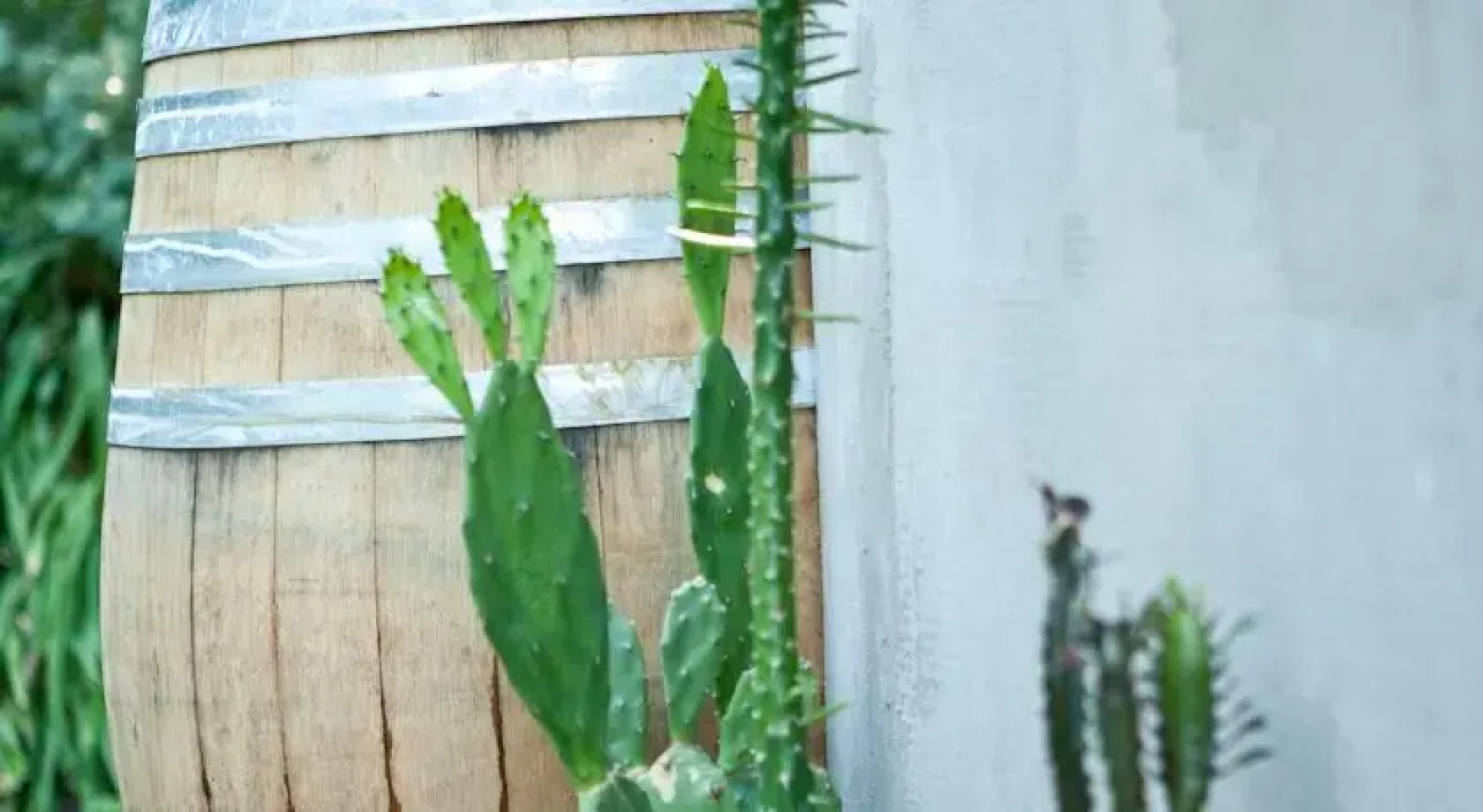 Mountain Forest Cottage - Szentendre