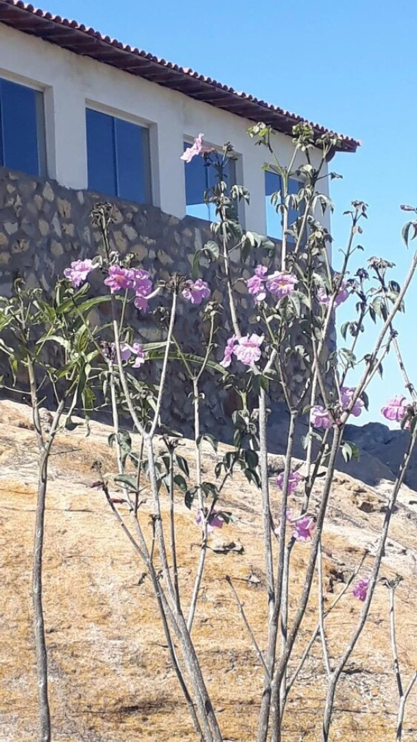 Pousada Pedra Do Sossego