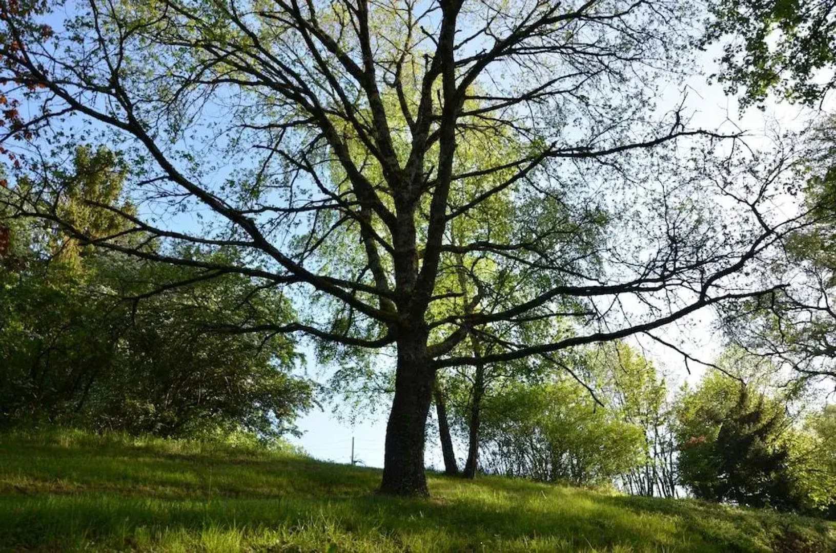Villa du Cerf Thibault