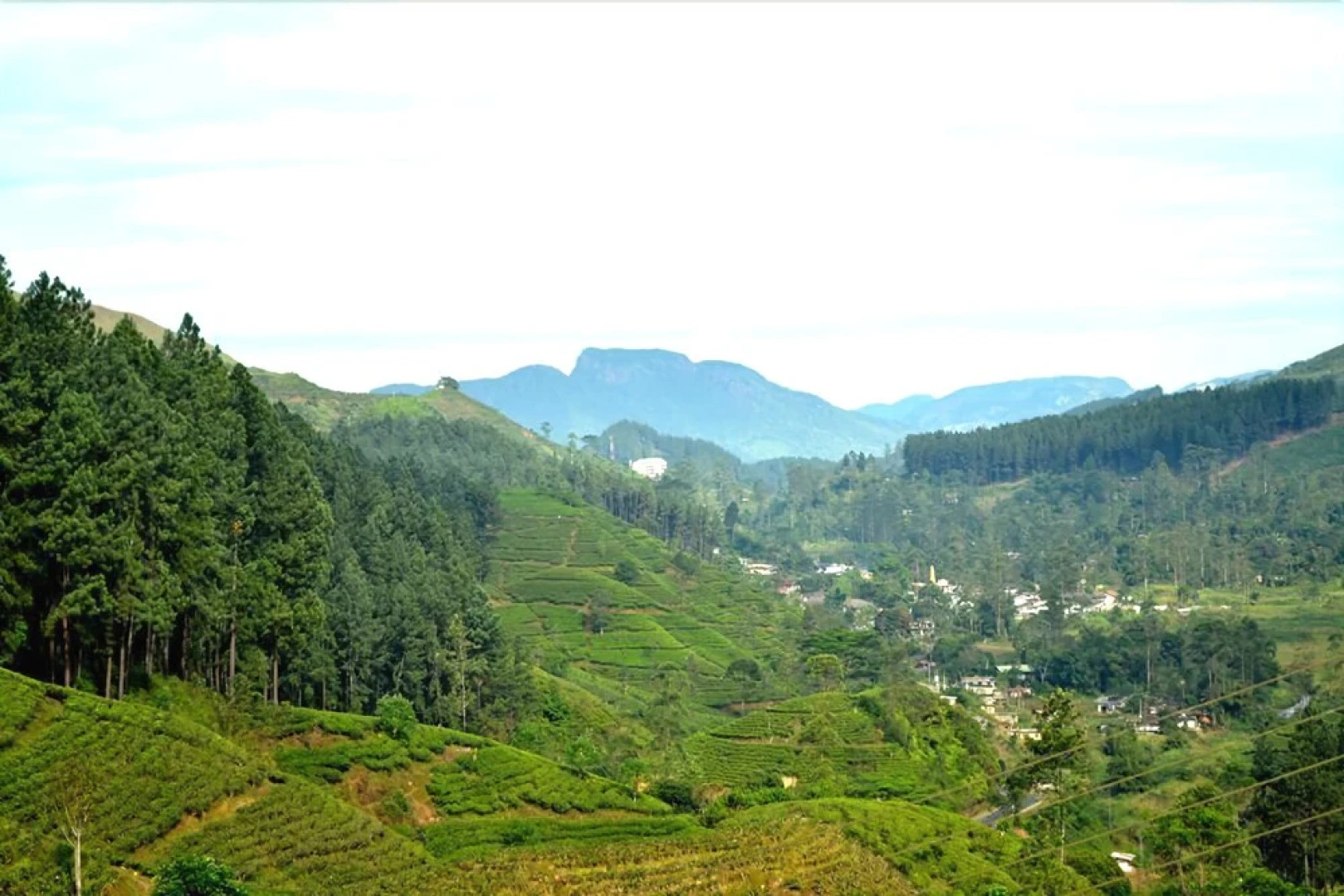 Yoho Watawala Lassana