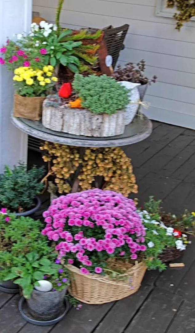 Saarlouis, Ortsteil Beaumarais "Anna's Cottage"Bed&Breakfast "#TravellerAwards 2022"