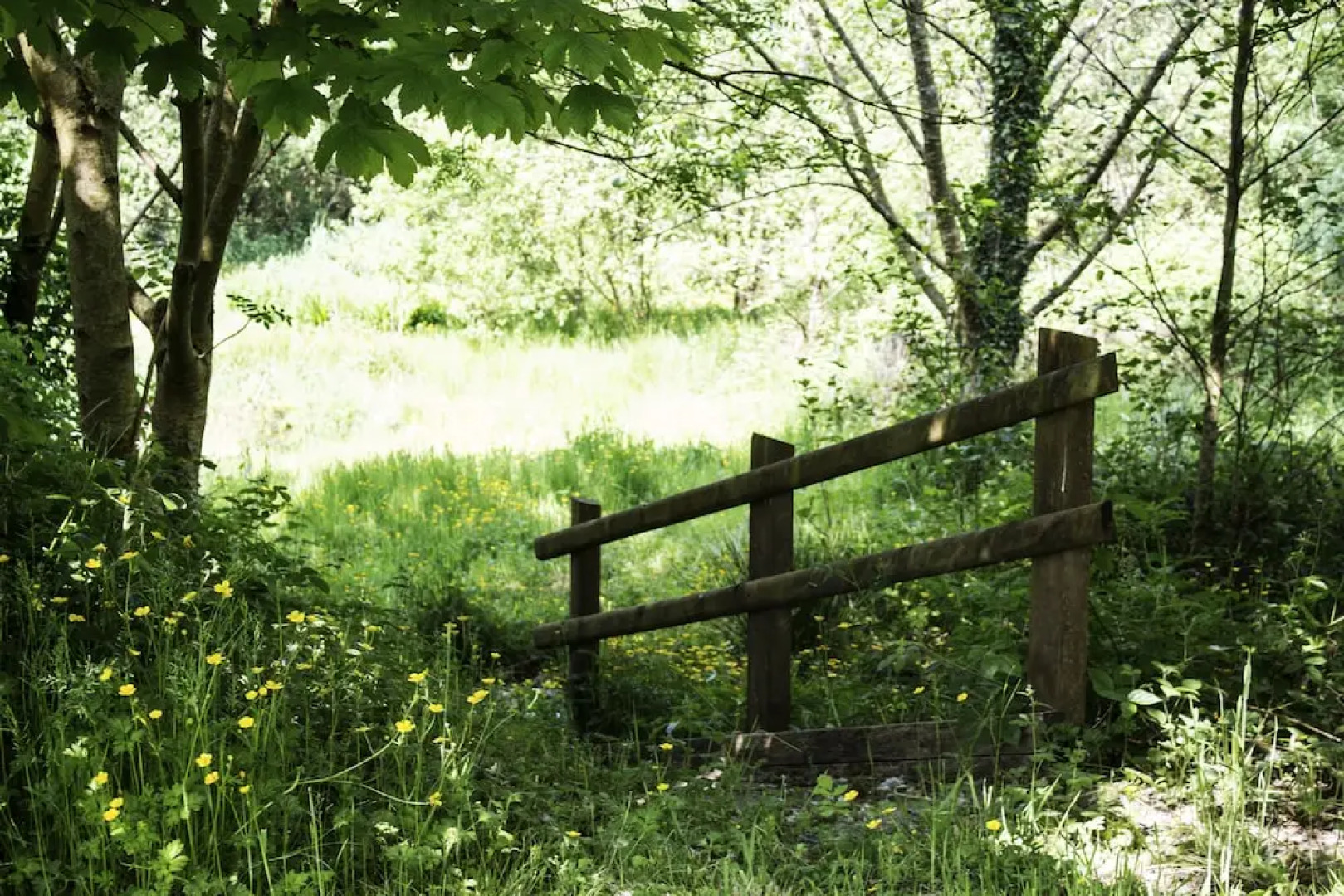 Waunwthan: B&B Suites