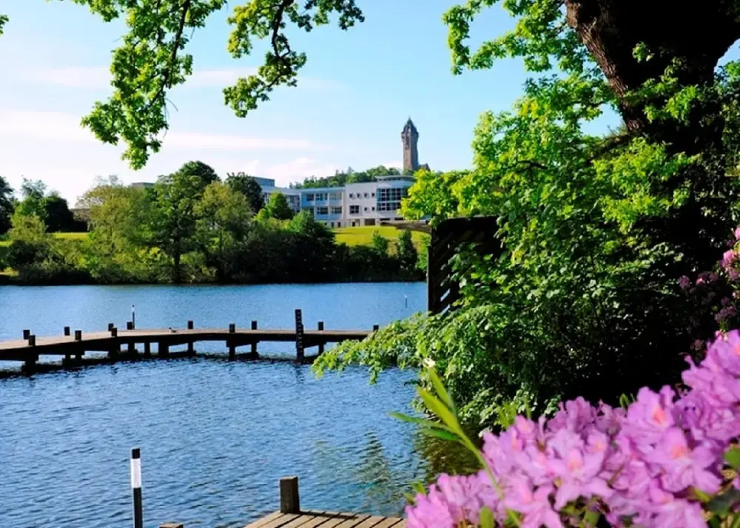 Willow Court - Hostel