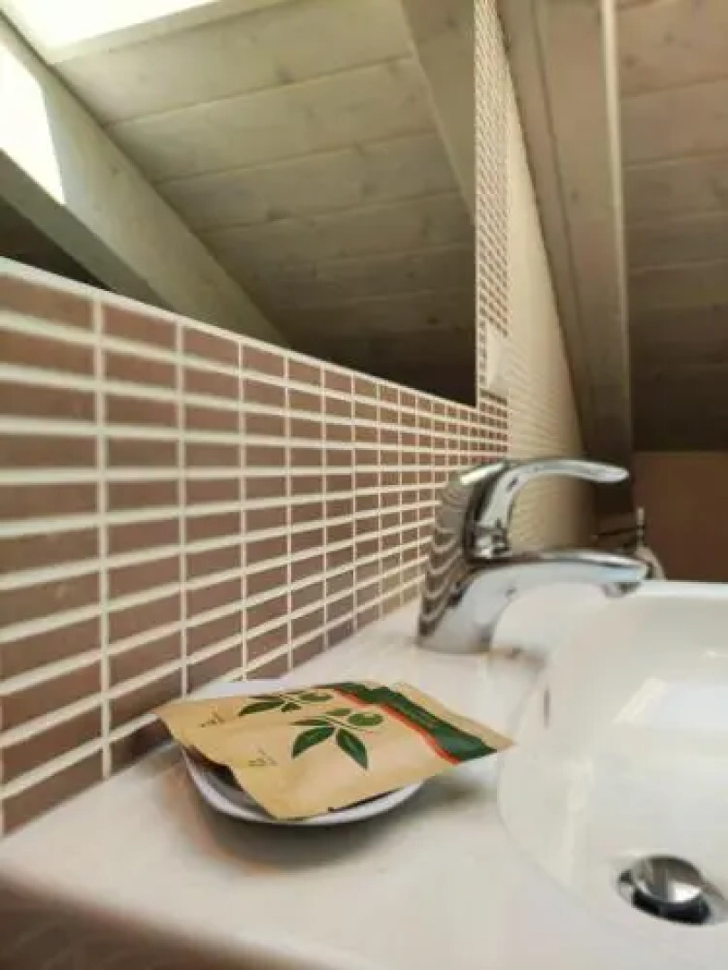 Holiway Home Cedro 312