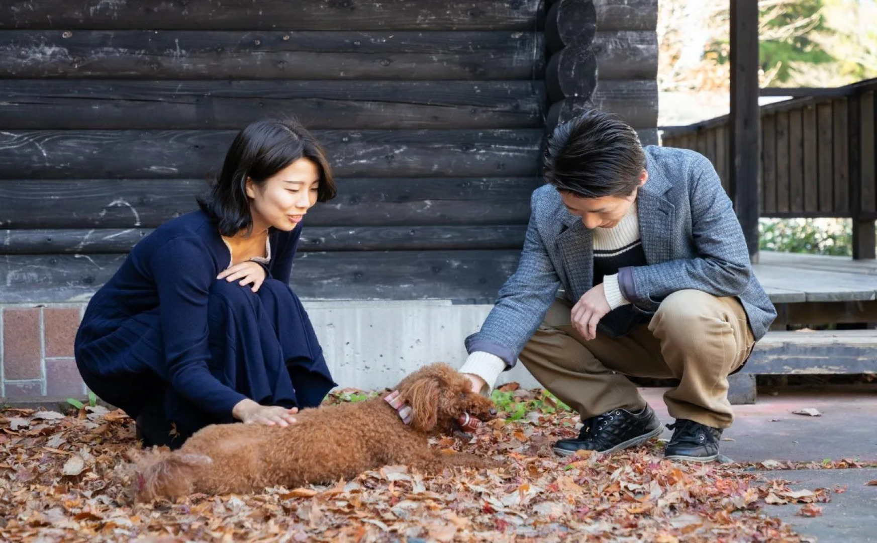 Hanare no Yado Hanagokoro