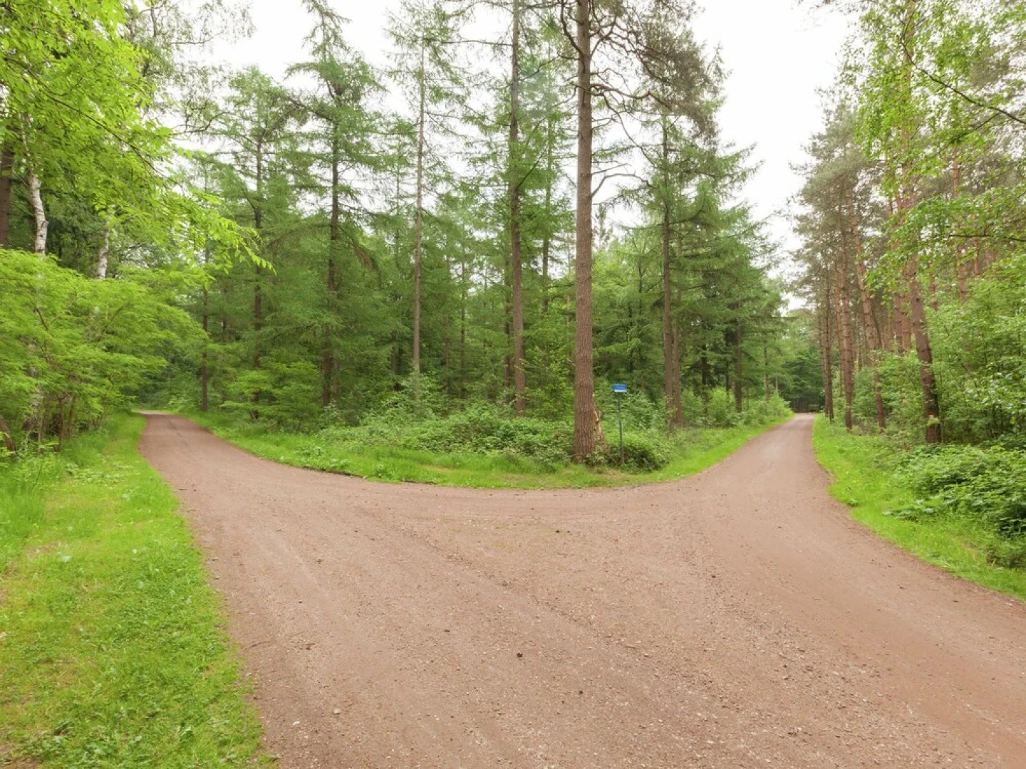 Cozy Holiday Home near Forest in Baarn