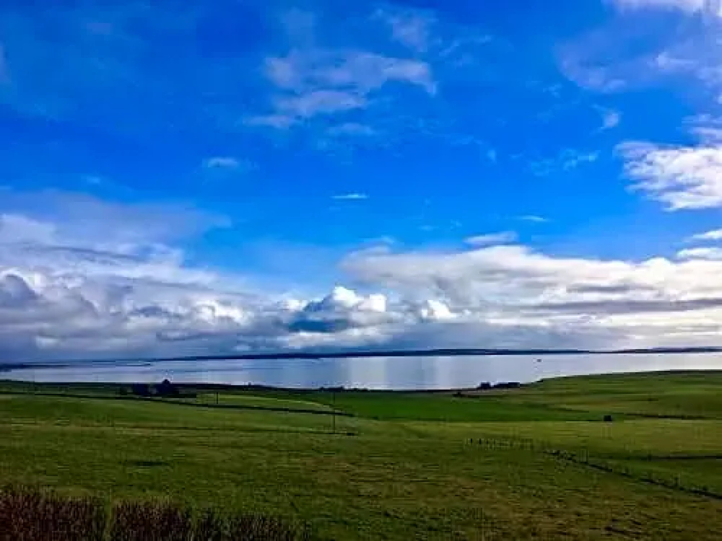 Aviedale Cottage B&B