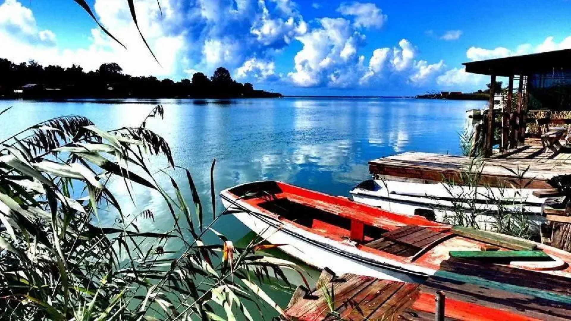 Cottage Ajna - Ada Bojana